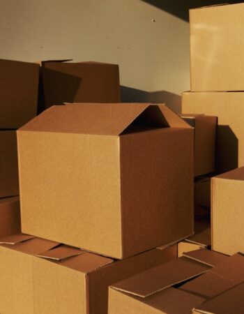 pexels-artempodrez-5025503