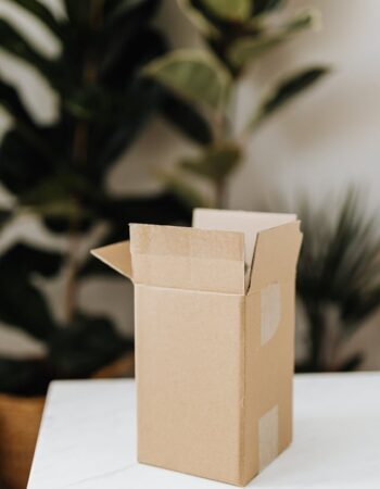 pexels-karola-g-4464817